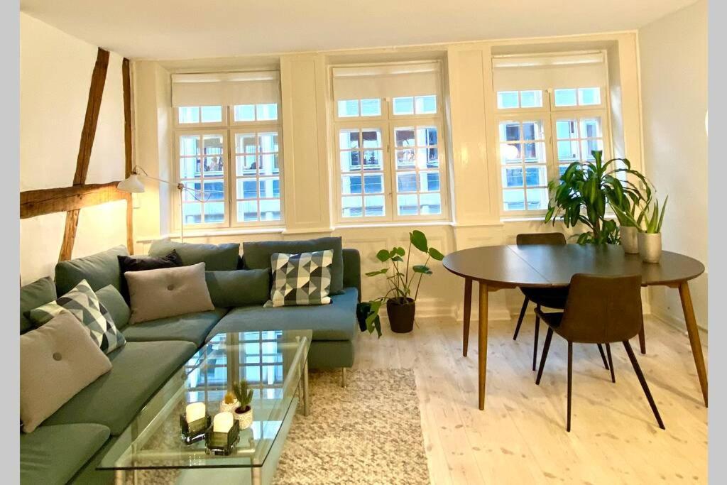 코펜하겐 Luxury 'Kings Garden' City-Flat In Center Of Town 아파트 외부 사진