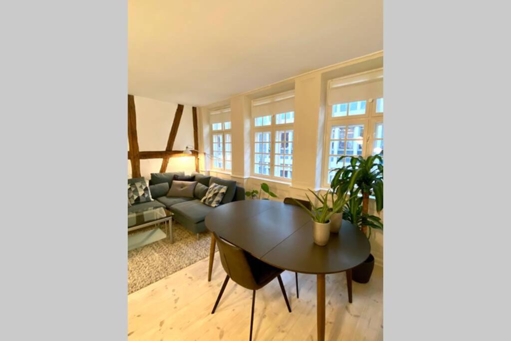 코펜하겐 Luxury 'Kings Garden' City-Flat In Center Of Town 아파트 외부 사진